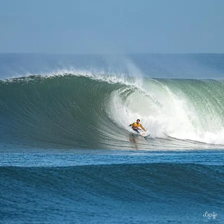 Apartment Blue Wave Patio, 5 Mins A Pied Du Centre Hossegor Capbreton