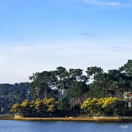 Blue Wave Patio, 5 Mins à Pied Du Centre Hossegor Capbreton
