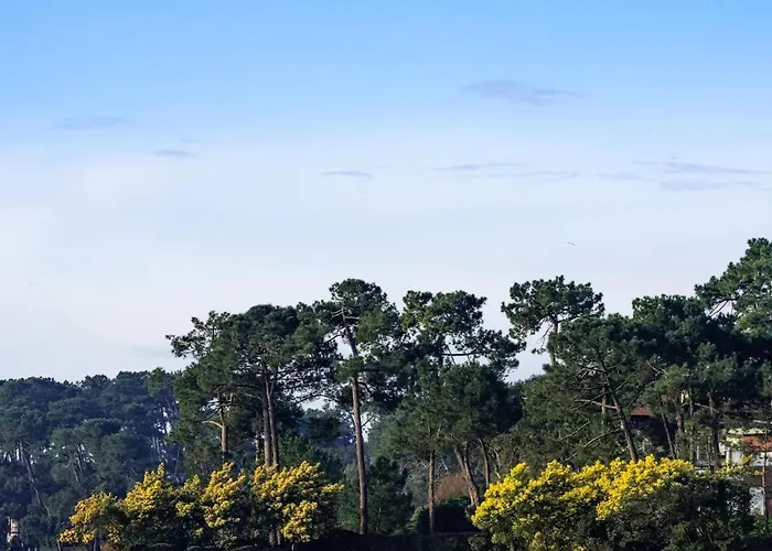 Blue Wave Patio, 5 Mins A Pied Du Centre Hossegor Capbreton
